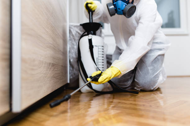 Best Affordable Pest Control Services  in Bandon, OR