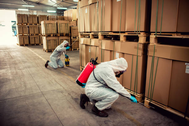 Best Pest Removal Services  in Bandon, OR