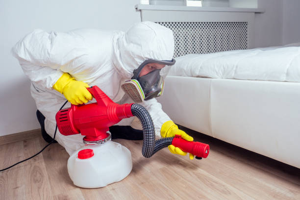 Wasp Removal Services in Bandon, OR