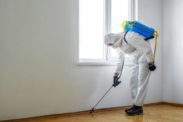 Best Pest Inspection Near Me  in Bandon, OR