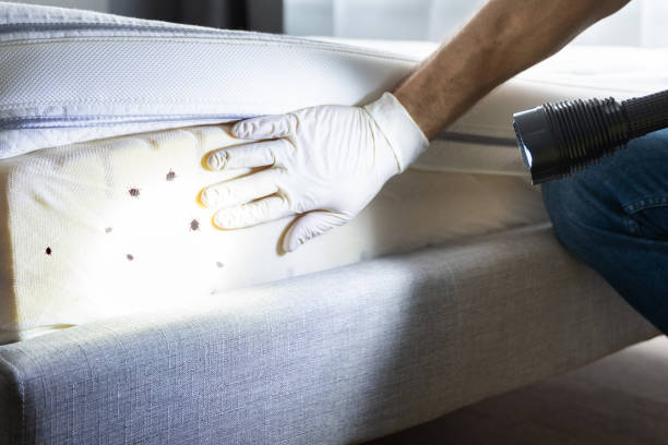 Best Pest Prevention Services  in Bandon, OR