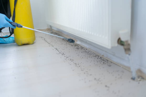 Best Termite Control Services  in Bandon, OR