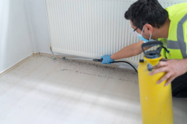 Best Ant Control Services  in Bandon, OR
