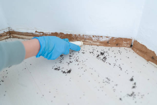 Best Exterminator Services  in Bandon, OR