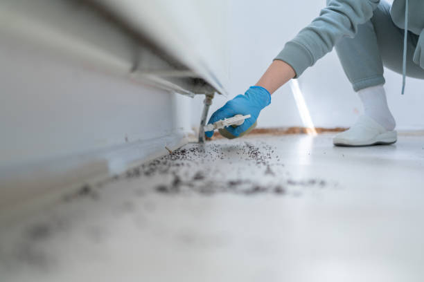 Best Mosquito Control Services  in Bandon, OR