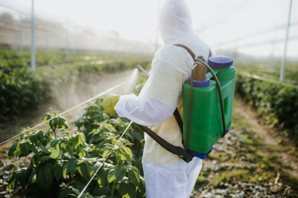 Best Spider Control Near Me  in Bandon, OR